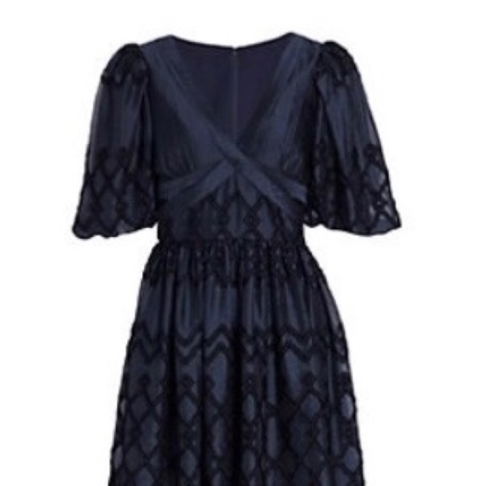 ML Monique Lhuillier embroidered organza mini dress
